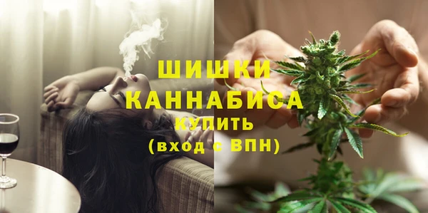 сатива Гусь-Хрустальный