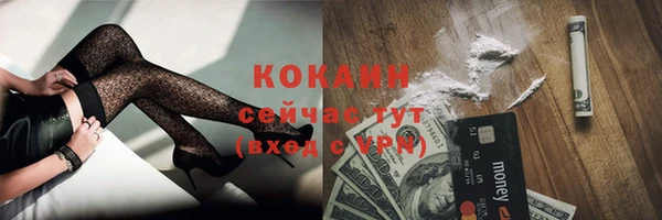 сатива Гусь-Хрустальный
