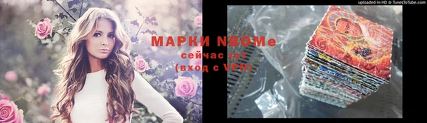 молекула духа Гусиноозёрск