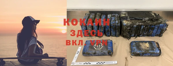 сатива Гусь-Хрустальный