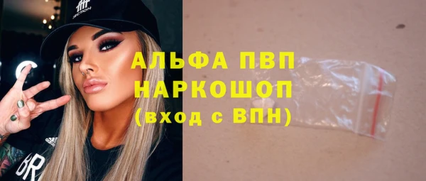 сатива Гусь-Хрустальный