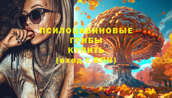 прущий лед Гусев