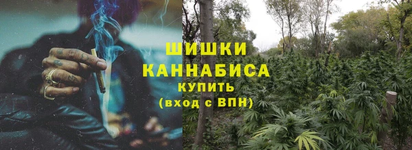 молекула духа Гусиноозёрск