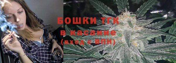 сатива Гусь-Хрустальный