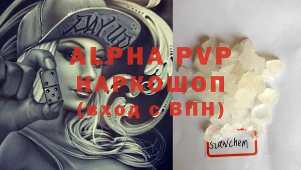 молекула духа Гусиноозёрск