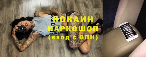 сатива Гусь-Хрустальный