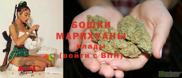 сатива Гусь-Хрустальный