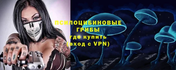 прущий лед Гусев